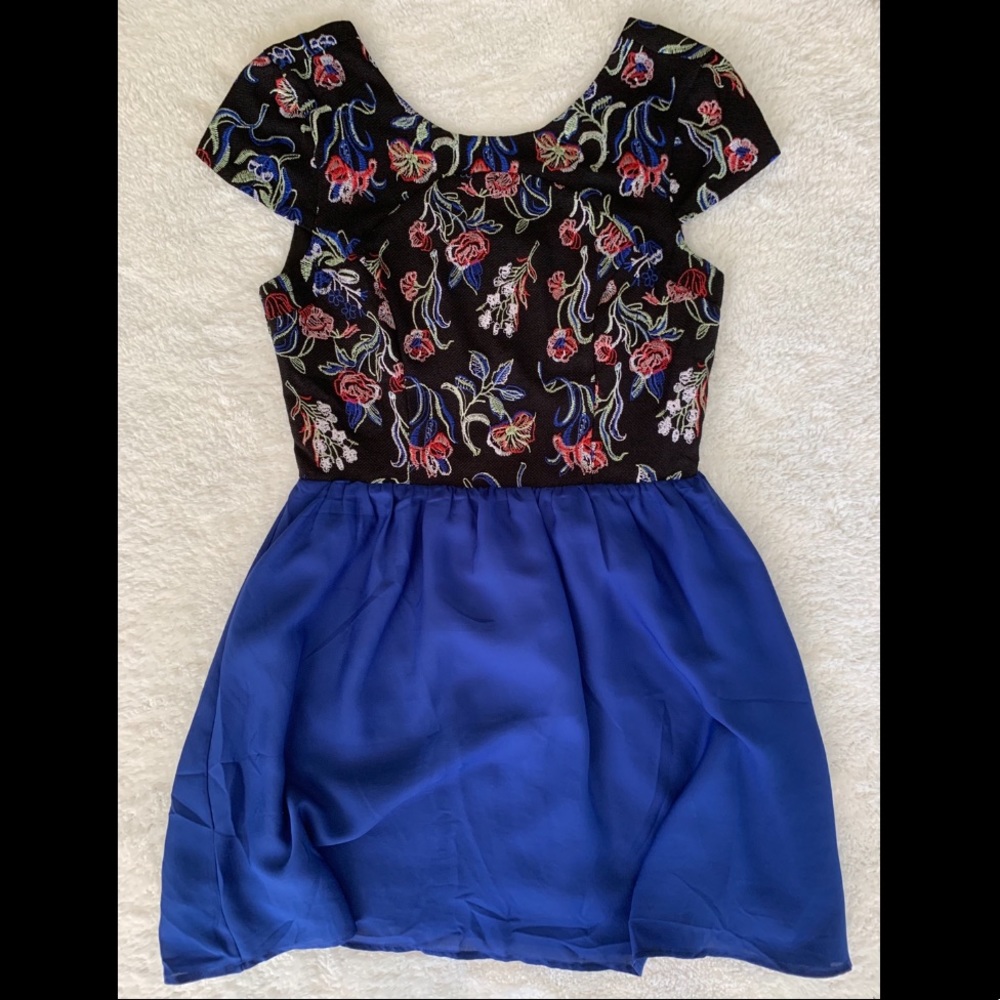 Francesca’s A-line Embroidered Dress